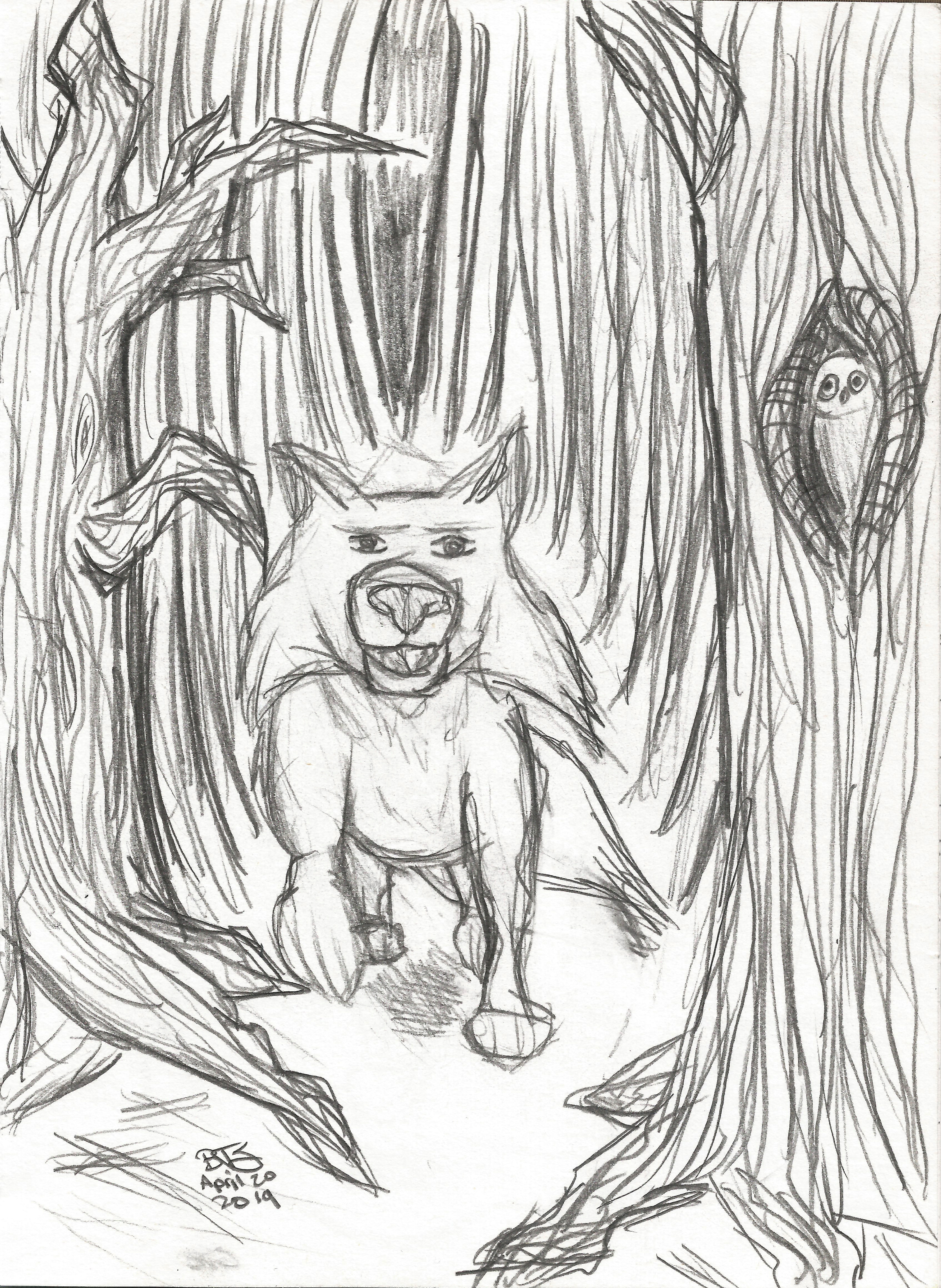 Wolf in the Woods; Pencil on Paper, April 2019